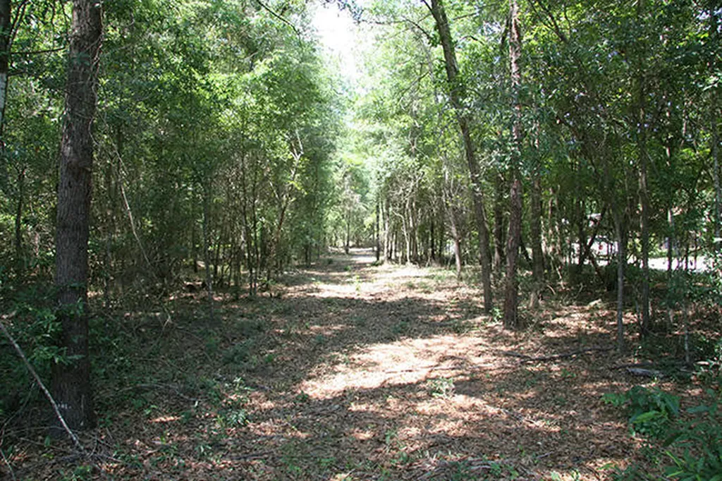 1515H Hephzibah - Mcbean Road Hephzibah GA 30815