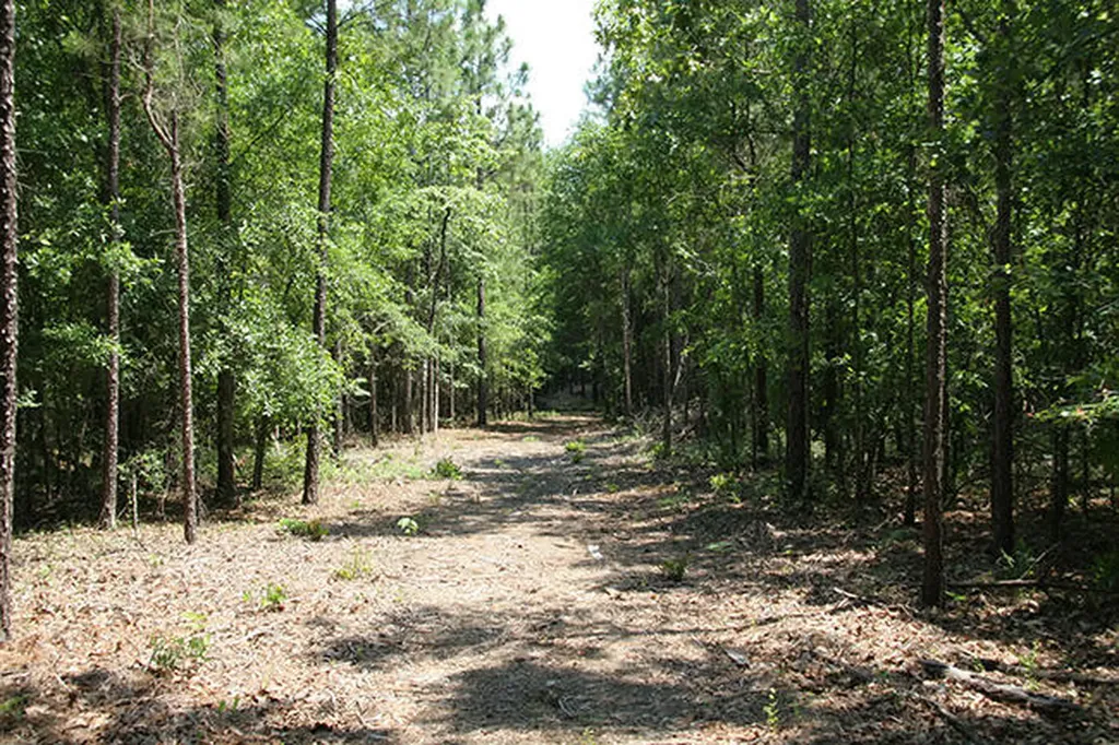 1515H Hephzibah - Mcbean Road Hephzibah GA 30815