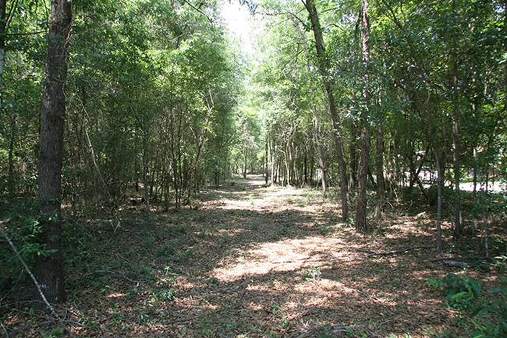 1515H Hephzibah - Mcbean Road Hephzibah GA 30815
