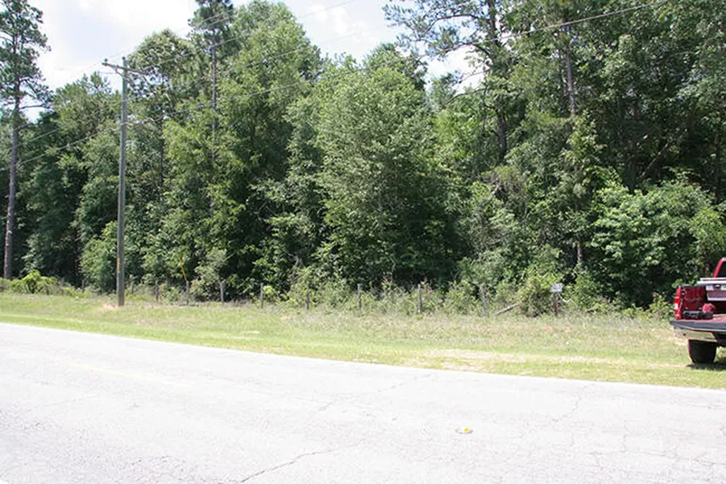 1515H Hephzibah - Mcbean Road Hephzibah GA 30815