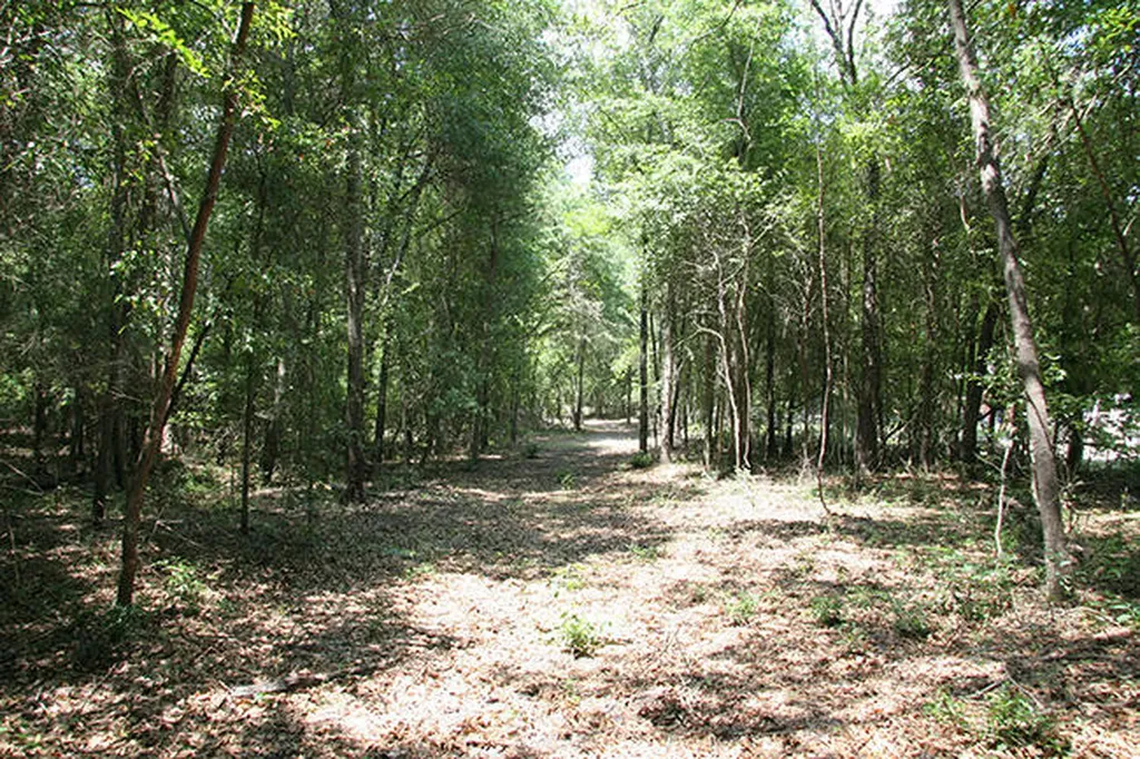 1515H Hephzibah - Mcbean Road Hephzibah GA 30815