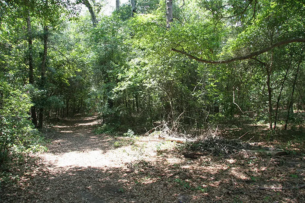 1515H Hephzibah - Mcbean Road Hephzibah GA 30815