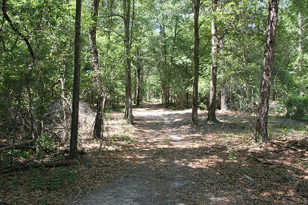 1515H Hephzibah - Mcbean Road Hephzibah GA 30815
