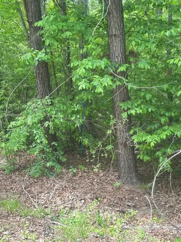 1-A New Delaughter Drive North Augusta SC 29860