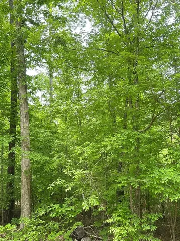 1-A New Delaughter Drive North Augusta SC 29860