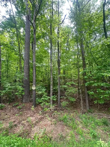 1-A New Delaughter Drive North Augusta SC 29860