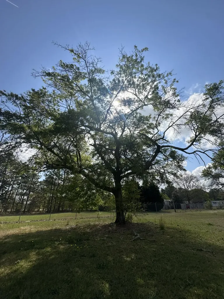 2432-A Tobacco Road Hephzibah GA 30815