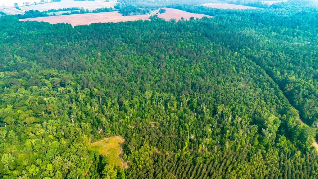 0 Fields Farm Road Millen GA 30442