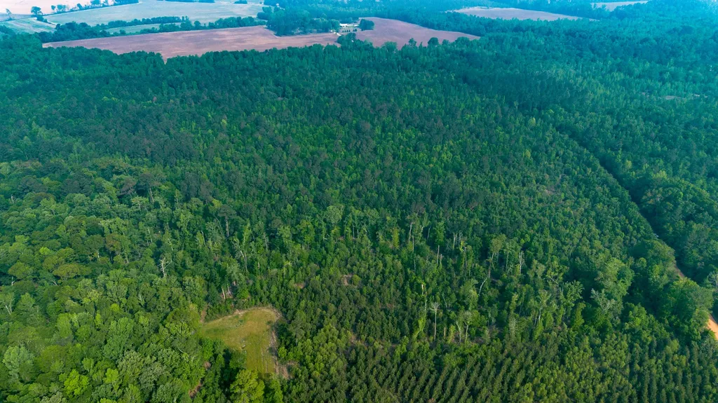 0 Fields Farm Road Millen GA 30442