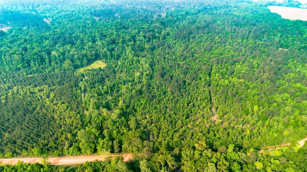 0 Fields Farm Road Millen GA 30442