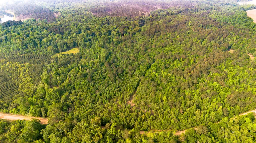 0 Fields Farm Road Millen GA 30442