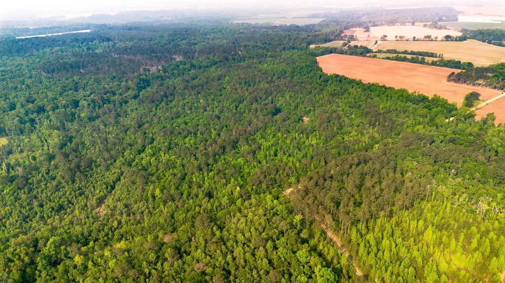 0 Fields Farm Road Millen GA 30442