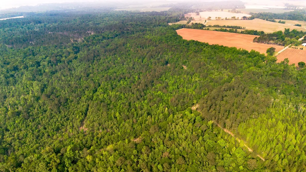 0 Fields Farm Road Millen GA 30442
