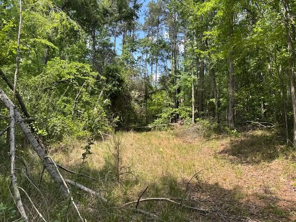 2062 Glenn Grovetown GA 30813