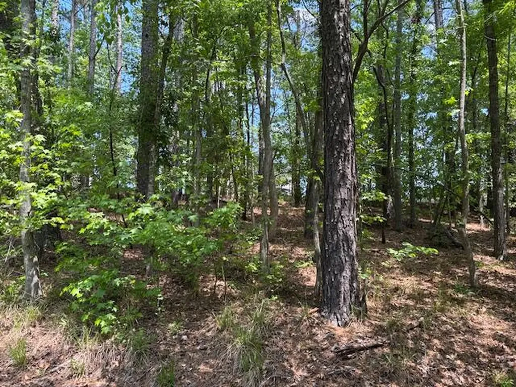 2062 Glenn Grovetown GA 30813