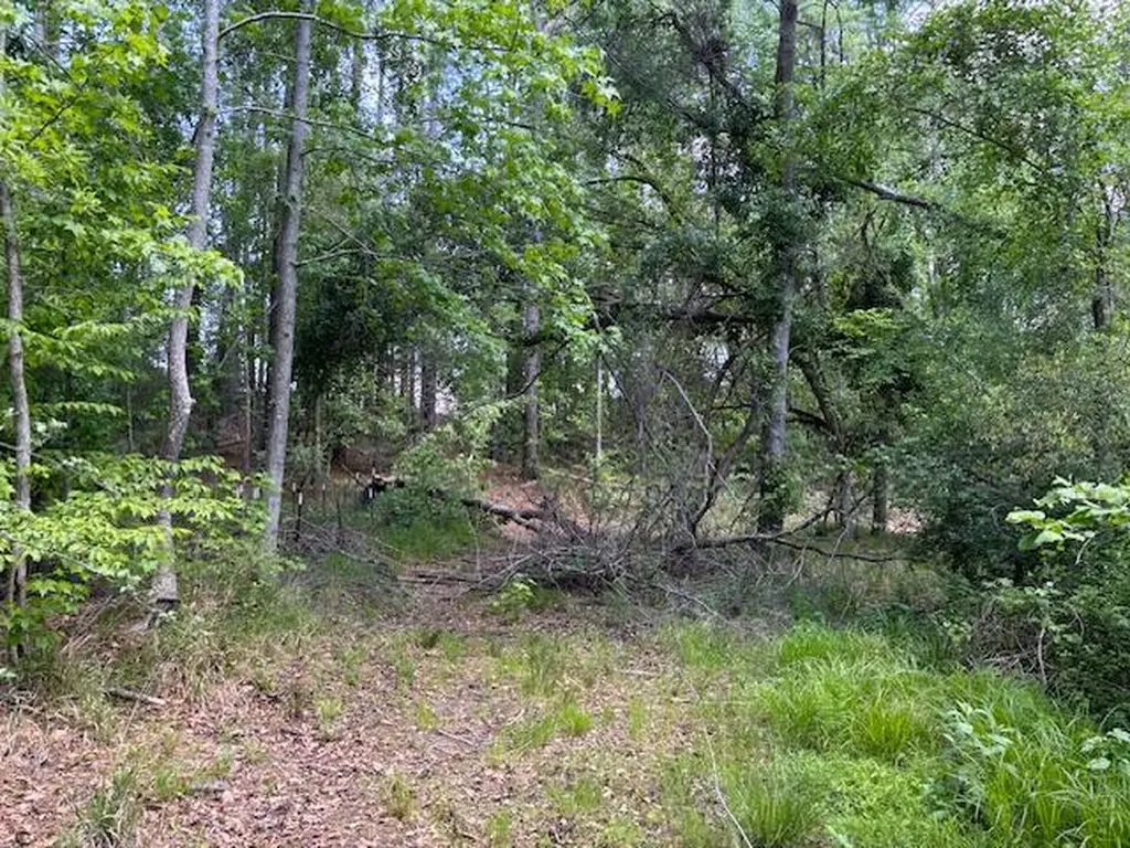 2062 Glenn Grovetown GA 30813