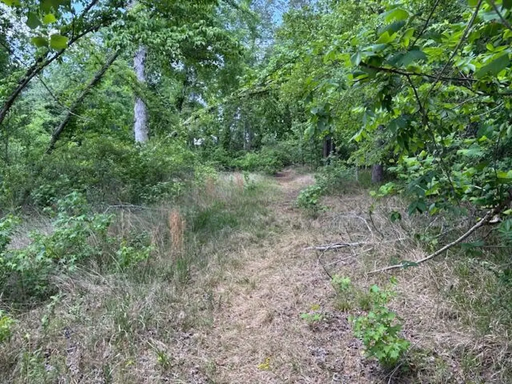 2062 Glenn Grovetown GA 30813