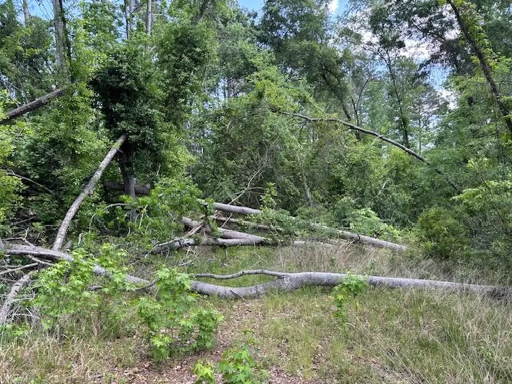 2062 Glenn Grovetown GA 30813