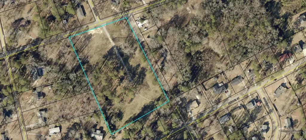 323 Forrest Clary Drive Thomson GA 30824