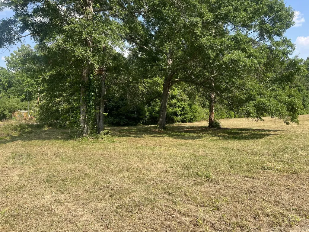 323 Forrest Clary Drive Thomson GA 30824