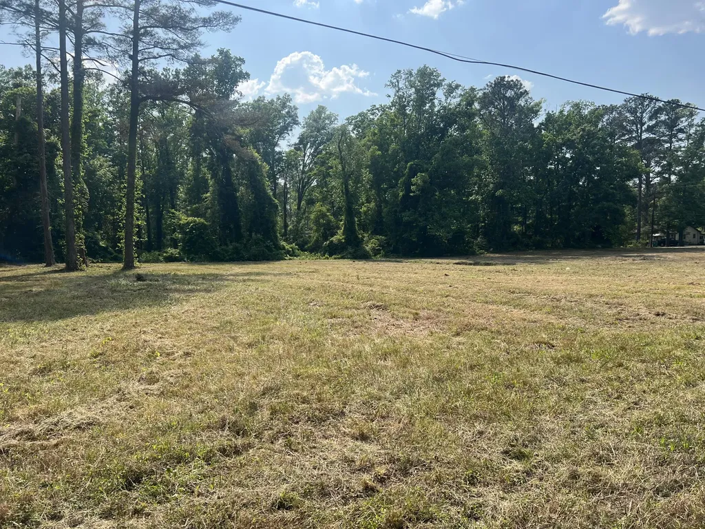 323 Forrest Clary Drive Thomson GA 30824