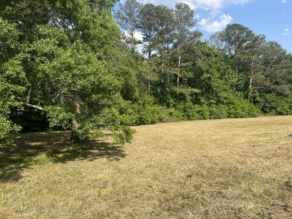 323 Forrest Clary Drive Thomson GA 30824