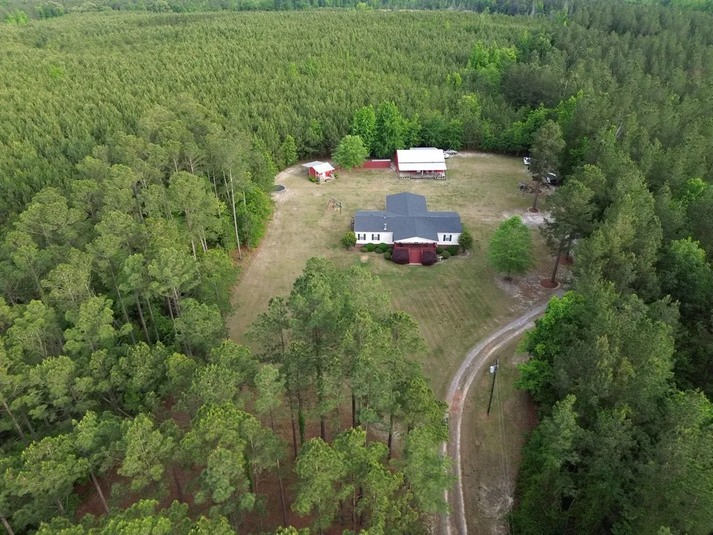 6615 Ga-102 Stapleton GA 30823