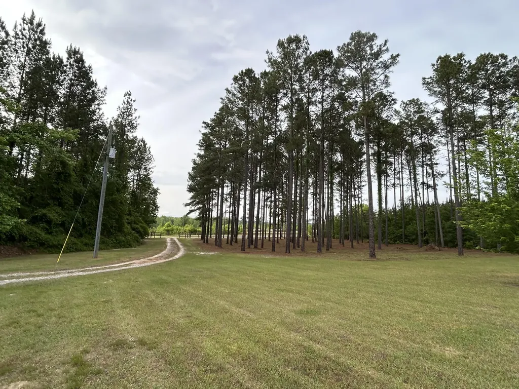 6615 Ga-102 Stapleton GA 30823