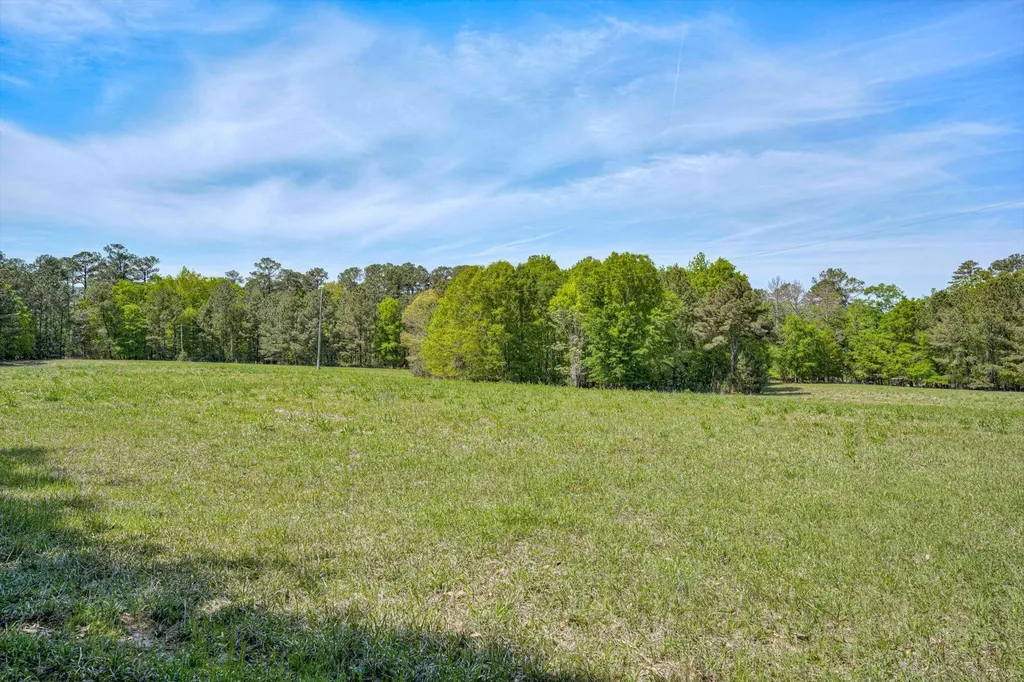 4375 Chamberlain S Ferry Road Lincolnton GA 30817
