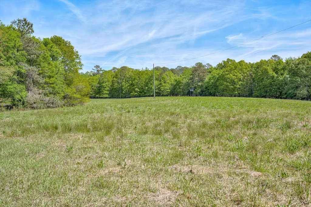 4375 Chamberlain S Ferry Road Lincolnton GA 30817