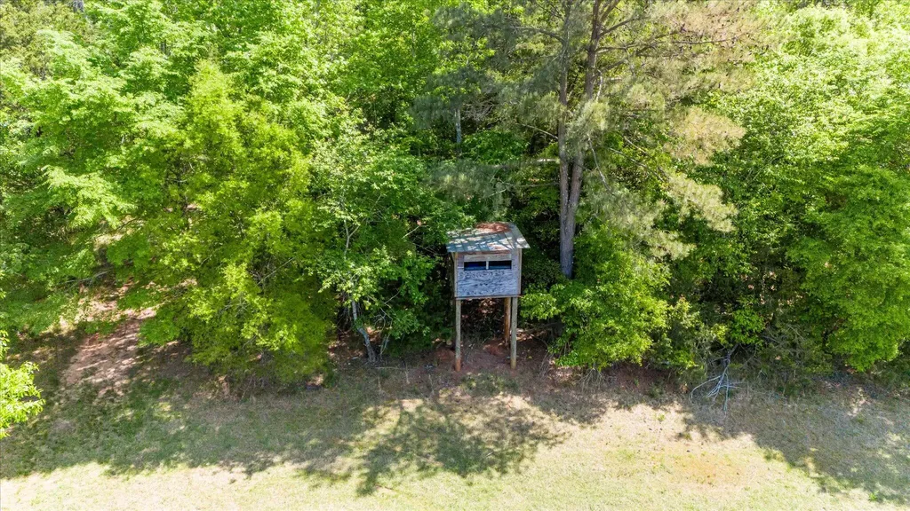4375 Chamberlain S Ferry Road Lincolnton GA 30817
