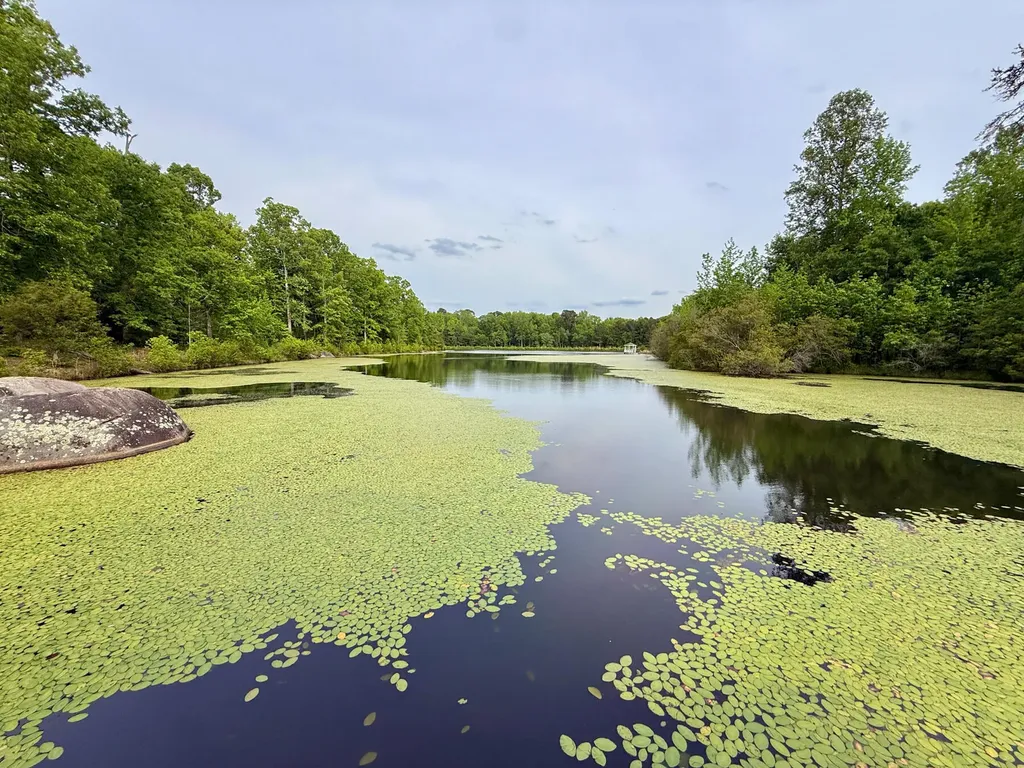 2427 Louisville Road Appling GA 30802