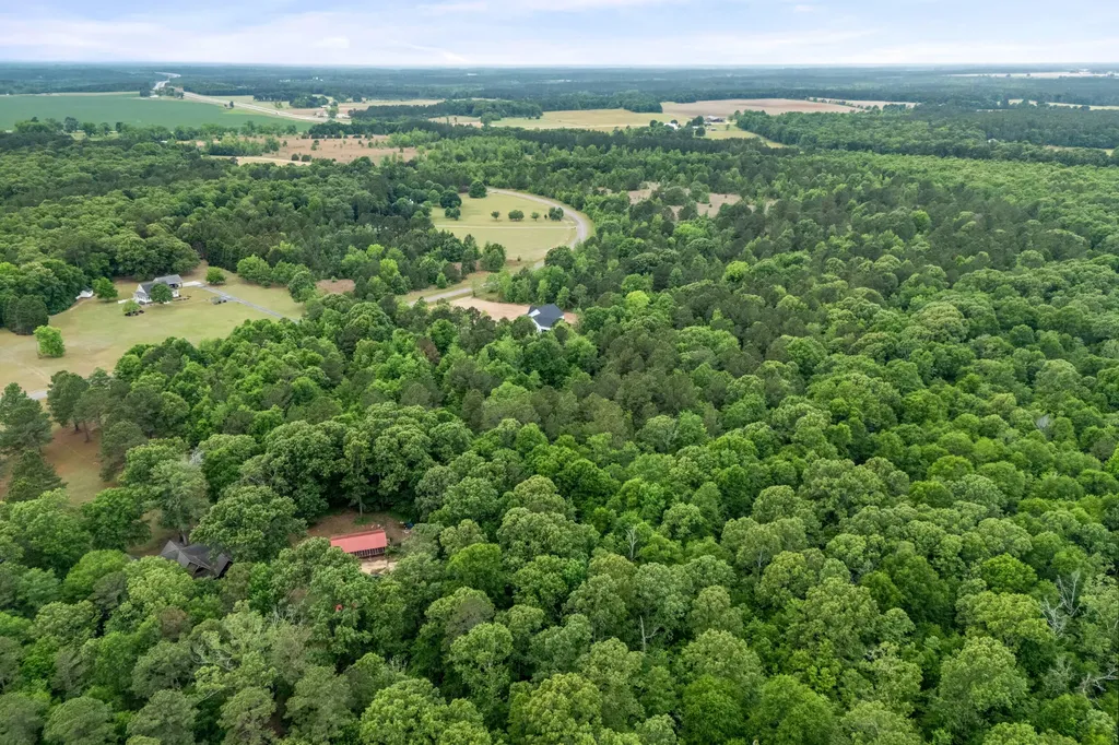 0 Sylvan Grove Road Stapleton GA 30823