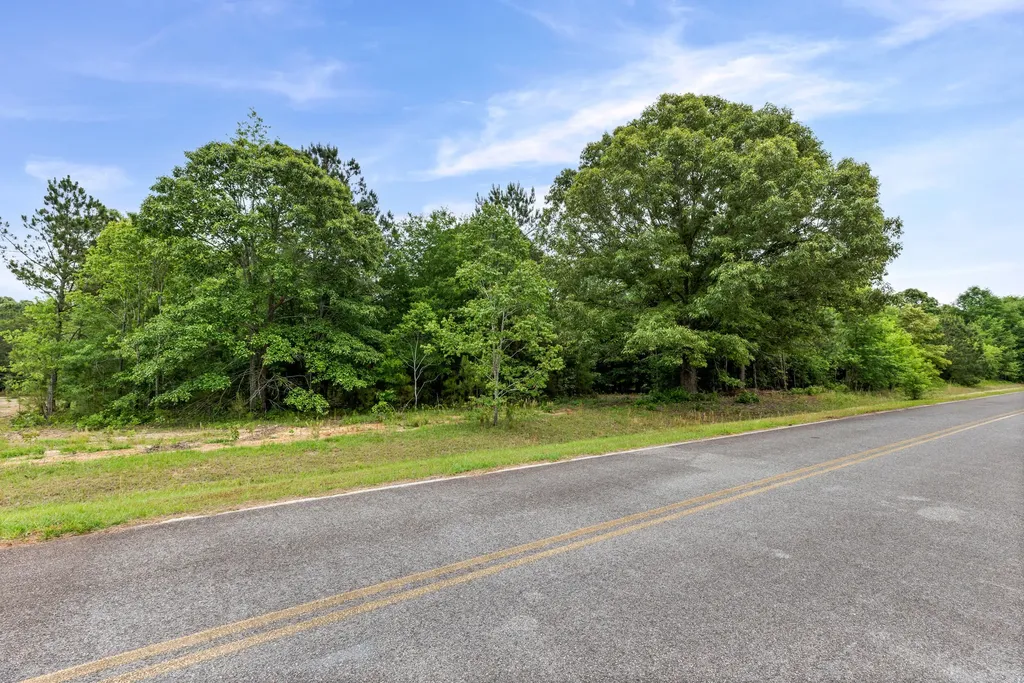 0 Sylvan Grove Road Stapleton GA 30823