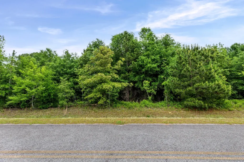 0 Sylvan Grove Road Stapleton GA 30823