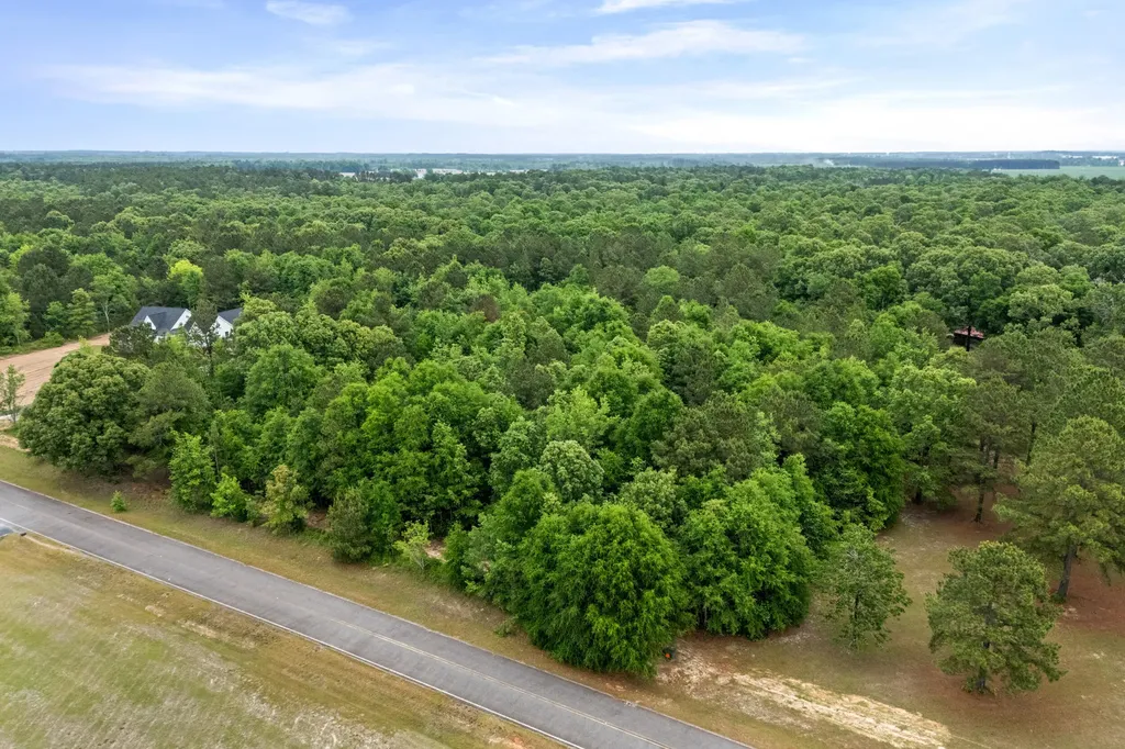 0 Sylvan Grove Road Stapleton GA 30823