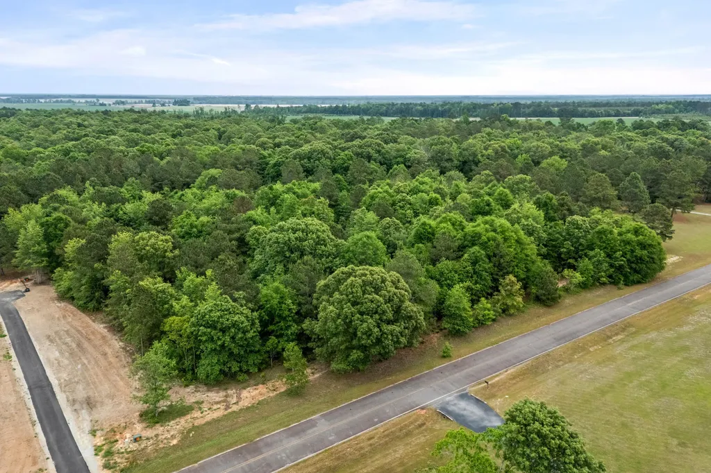 0 Sylvan Grove Road Stapleton GA 30823
