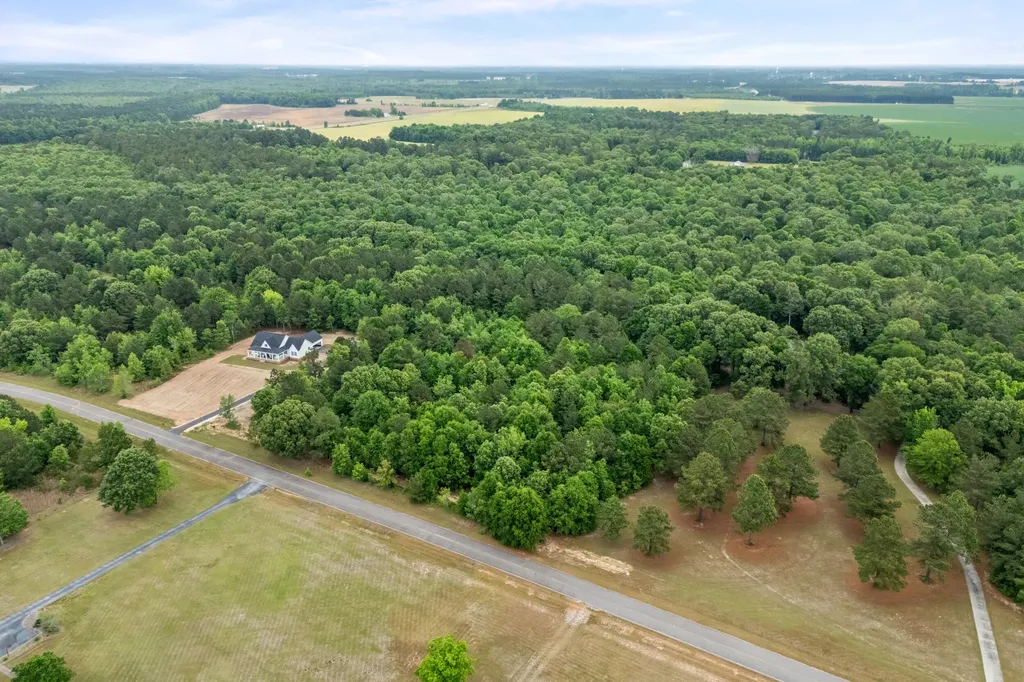0 Sylvan Grove Road Stapleton GA 30823