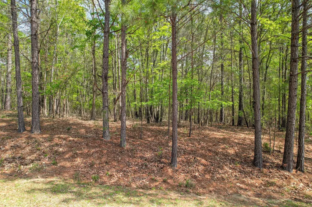 1018 Pineknoll Lane Lincolnton GA 30817
