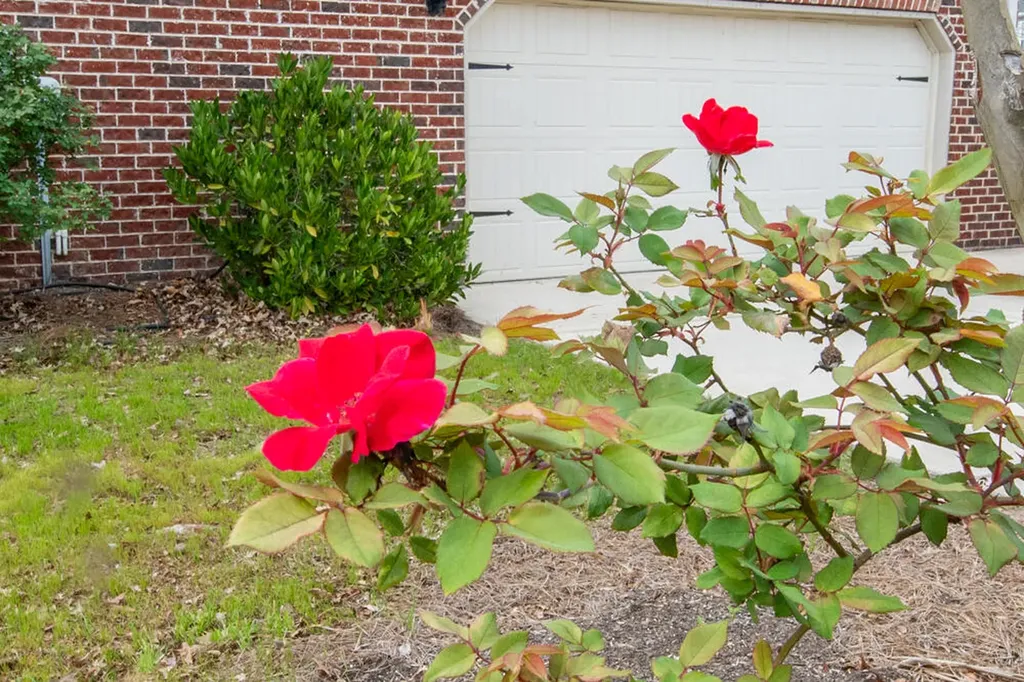 2403 Sunflower Drive Evans GA 30809