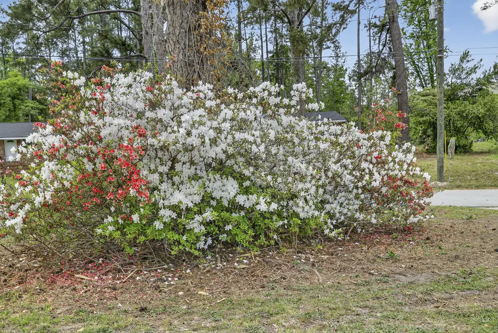 2002 Evergreen Drive Augusta GA 30909