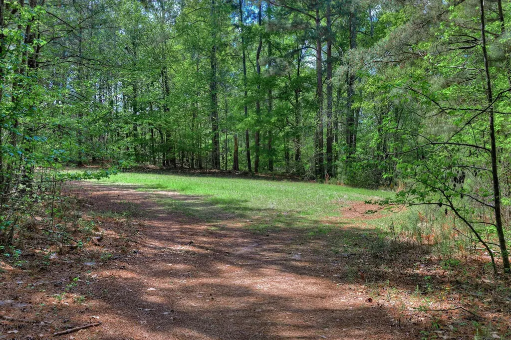 2146 Thomson Highway Warrenton GA 30828