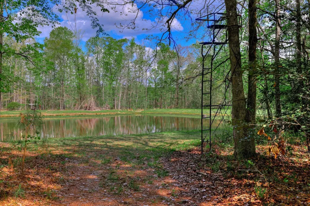 2146 Thomson Highway Warrenton GA 30828