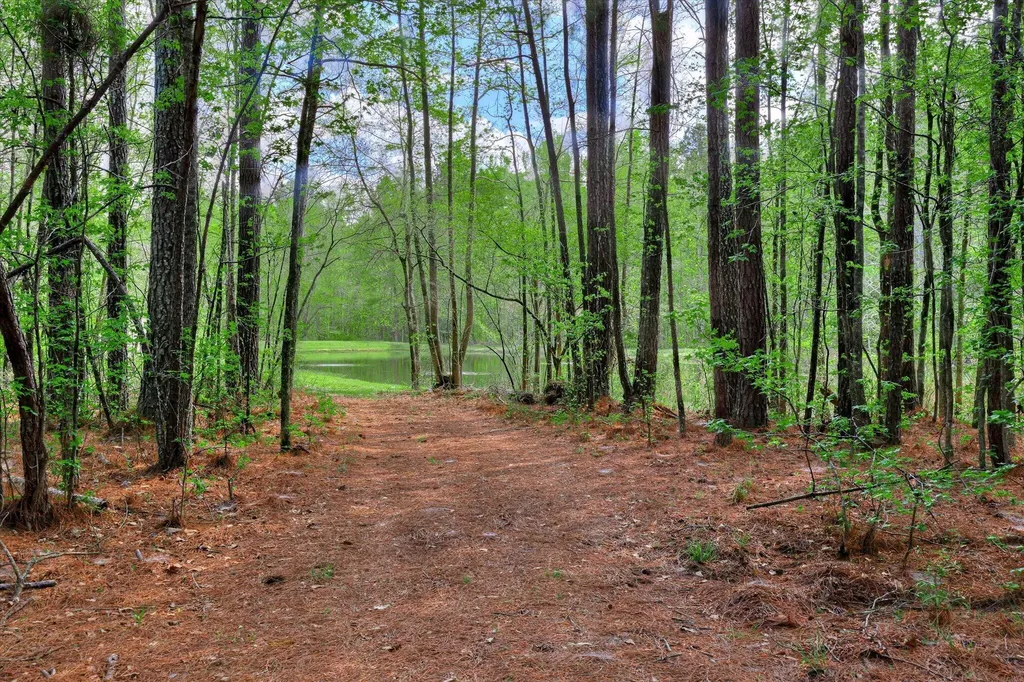 2146 Thomson Highway Warrenton GA 30828