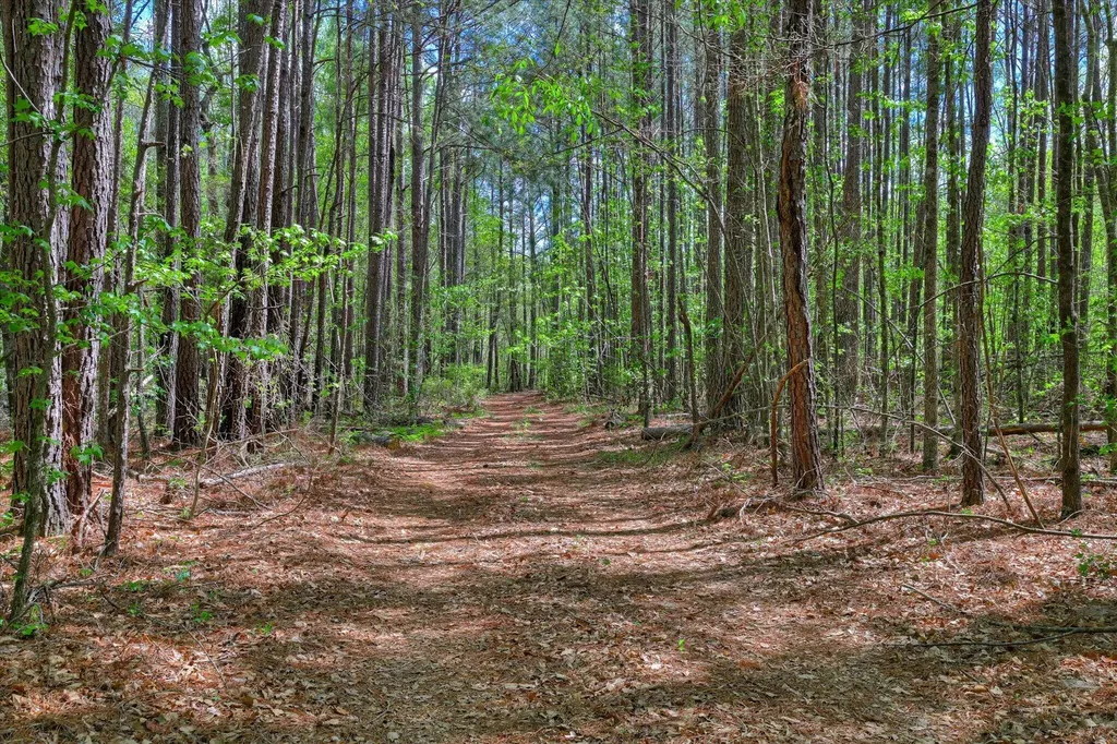 2146 Thomson Highway Warrenton GA 30828