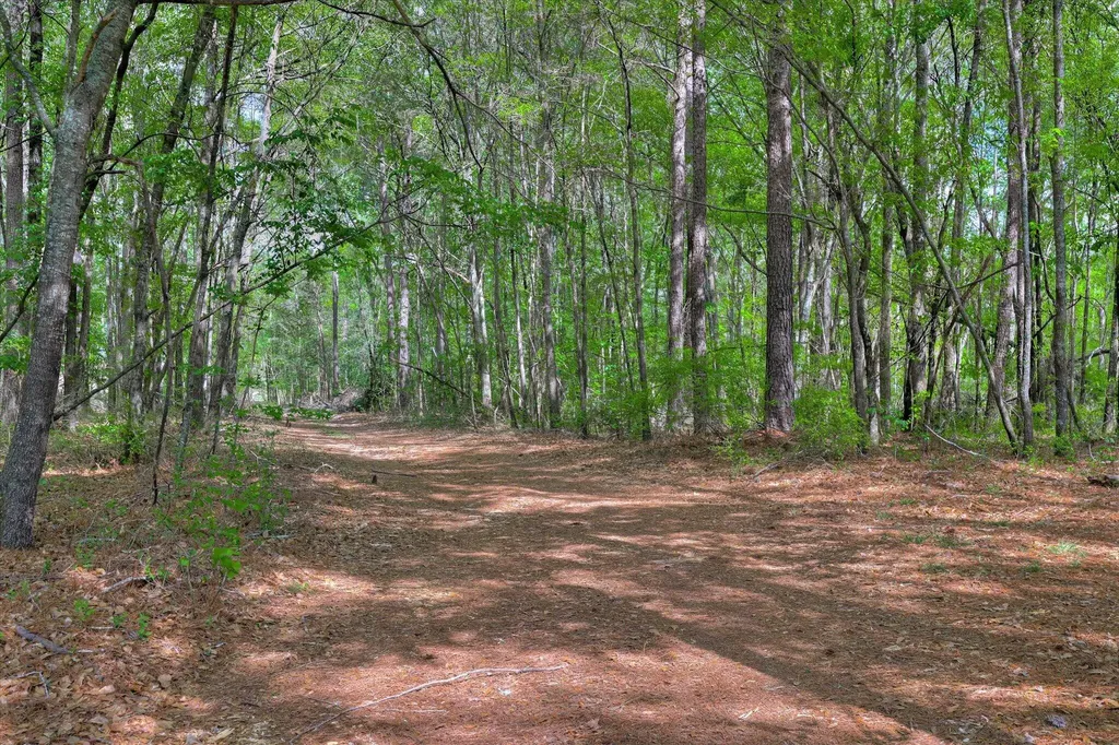 2146 Thomson Highway Warrenton GA 30828