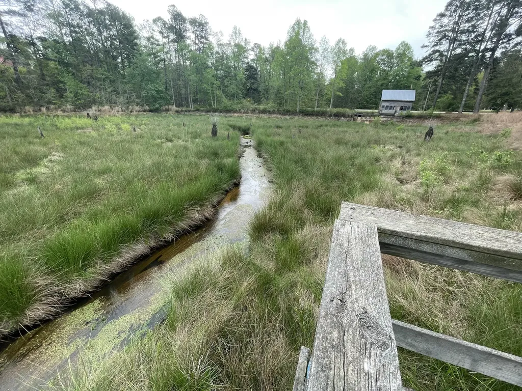 2009 Fort Creek Road Dearing GA 30808