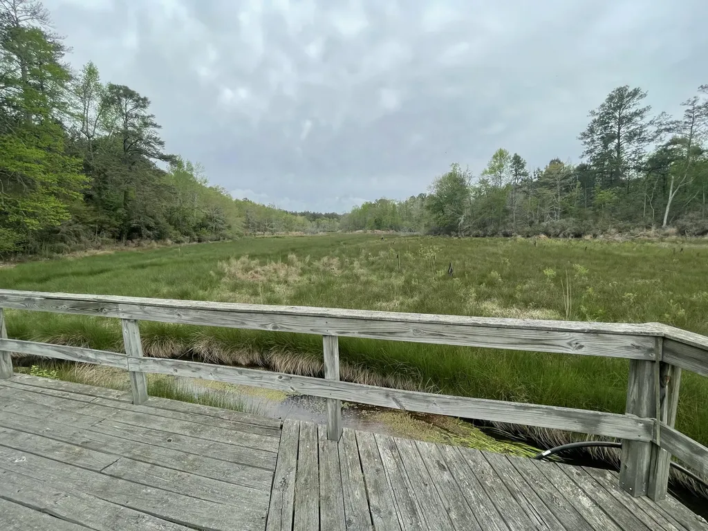 2009 Fort Creek Road Dearing GA 30808