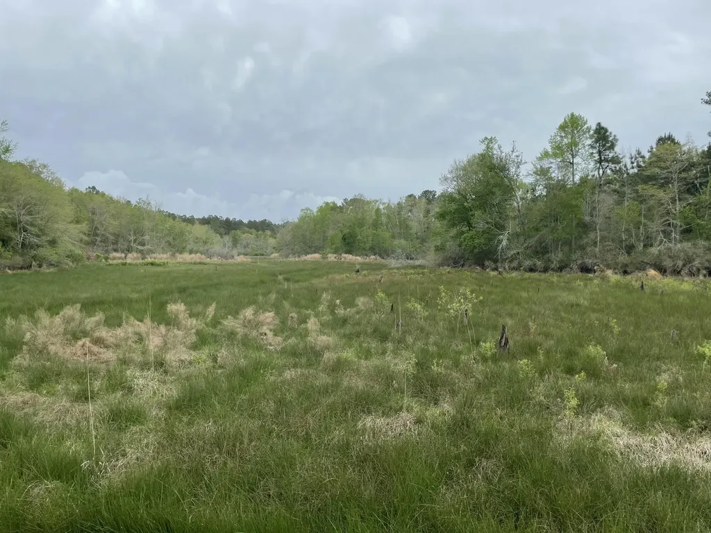 2009 Fort Creek Road Dearing GA 30808