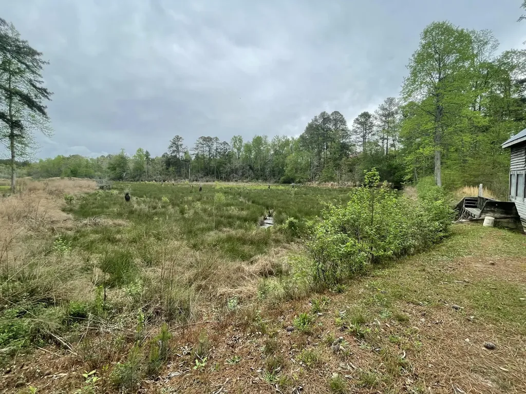 2009 Fort Creek Road Dearing GA 30808